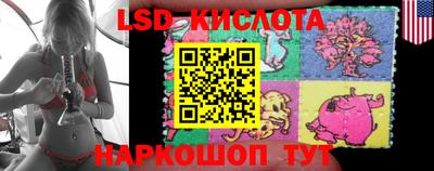 амф Заволжье