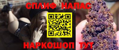 стафф Заводоуковск