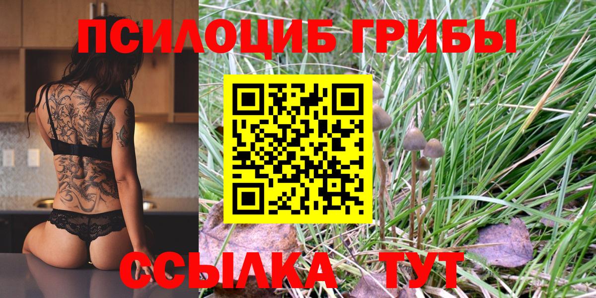 Псилоцибиновые грибы Cubensis Лыткарино
